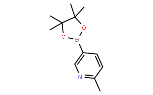 2-Picoline-5-boronic acid pinacol ester