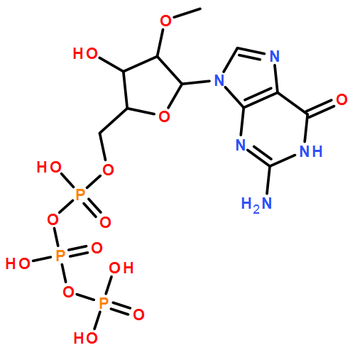 2'-OMe-GTP