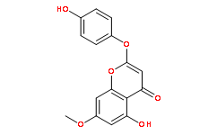 Demethoxy-7-O-methylcapillarisin