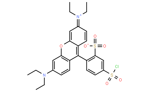 LISSAMINE RHODAMINE B SULFONYL CHLORIDE