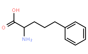 l-2-氨基-5-苯基戊酸