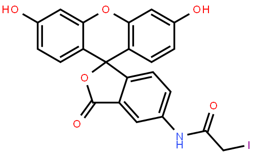 Fluorescein-5-iodoacetamide