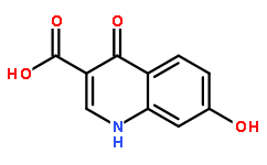 4,7-DihydroxyQuinoline-3-carboxylic acid