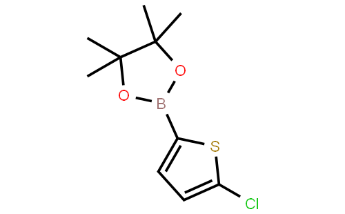 5-氯噻吩-2-硼酸频哪醇酯