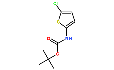 tert-butyl 5-chlorothiophen-2-ylcarbamate