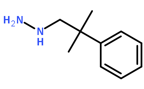 1-(2-methyl-2-phenylpropyl)hydrazine