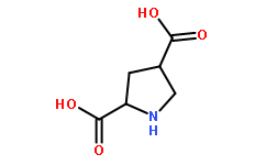 L-trans-2,4-PDC(64769-66-0)