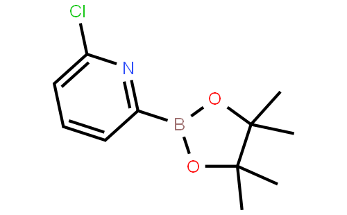 6-氯吡啶-2-硼酸频哪酯