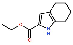 ETHYL 4,5,6,7-TETRAHYDRO-1H-INDOLE-2-CARBOXYLATE