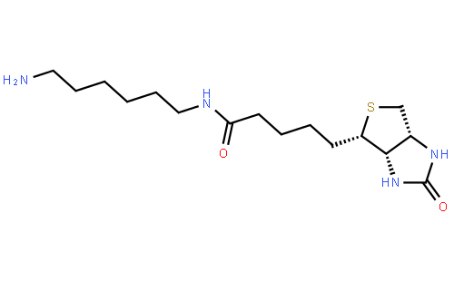 N-(6-Aminohexyl)-5-((3aS,4S,6aR)-2-oxohexahydro-1H-thieno[3,4-d]imidazol-4-yl)pentanamide