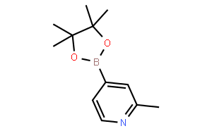 2-Methylpyridine-4-boronic acid pinacol ester