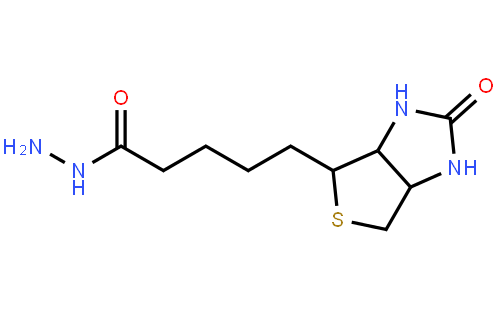 生物素酰肼