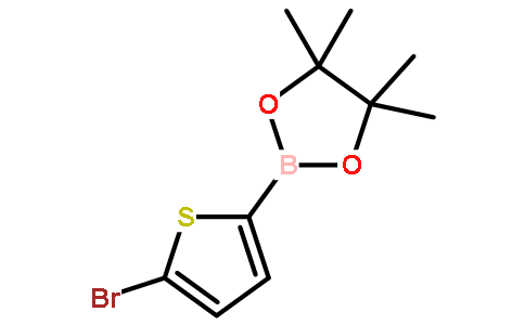 2-(5-Bromothiophen-2-yl)-4,4,5,5-tetramethyl-1,3,2-dioxaborolane