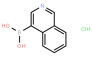 Isoquinoline-4-boronic acid Hydrochloride