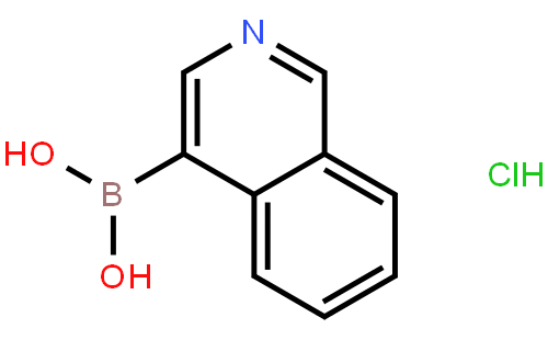 异喹啉-4-硼酸盐酸盐