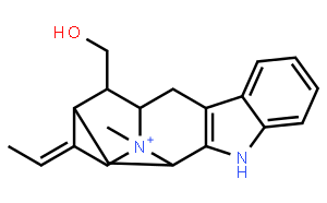 馬枯素 B