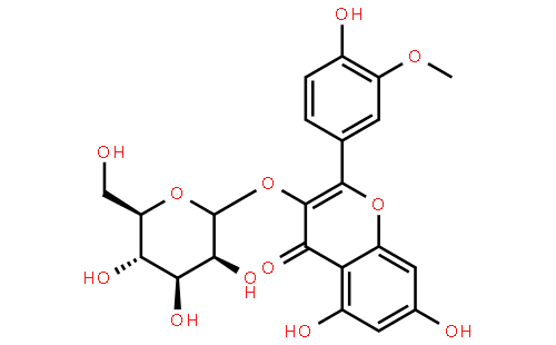 异鼠李素-3-O-半乳糖苷