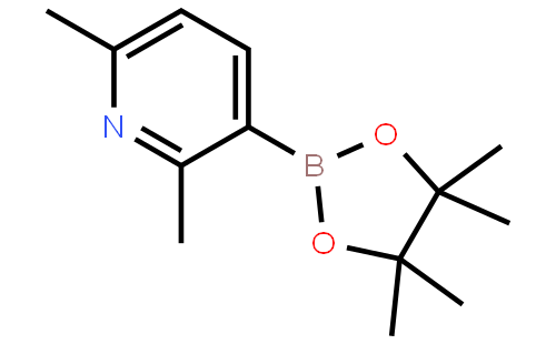 2,6-Dimethylpyridine-3-boronic acid pinacol ester