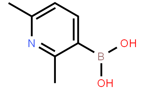 2,6-Dimethylpyridine-3-boronic acid