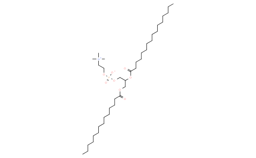 1-myristoyl-2-palmitoyl-sn-glycero-3-phosphocholine