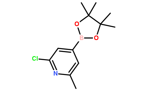 2-Chloro-6-methylpyridine-4-boronic acid pinacol ester
