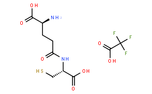 谷胱甘肽合成酶合成L-谷胱甘肽的底物