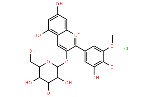 Petunidin 3-O-β-D-Glucoside