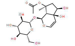 8-O-乙酰哈巴苷
