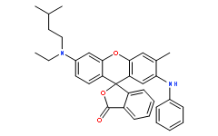 3-N-異戊基-N-乙氨基-6-甲基-7-苯氨基熒烷