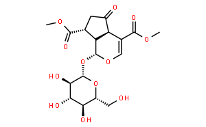 Griselinoside