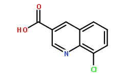 8-chloroQuinoline-3-carboxylic acid