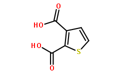 噻吩-2,3-二羧酸