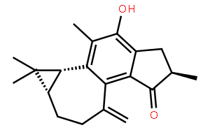 麻楓樹酚酮B