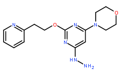 4-(6-hydrazinyl-2-(2-(pyridin-2-yl)ethoxy)pyrimidin-4-yl)morpholine