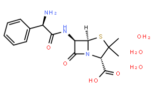 Ampicillin Trihydrate