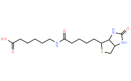 N-(+)-Biotinyl-6-aminohexanoic acid