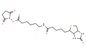 6-生物素酰氨基己酸N-琥珀酰亚胺酯