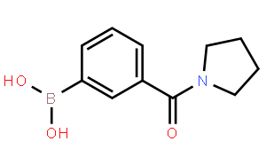 3-吡咯啉基羰基苯基硼酸