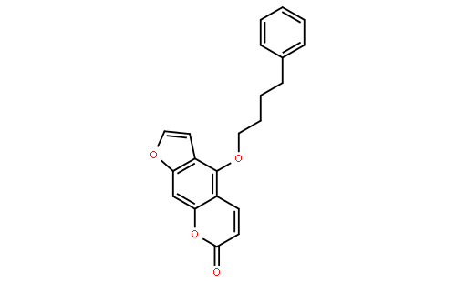 Psora 4