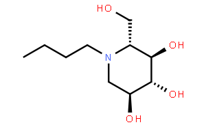 美格魯特