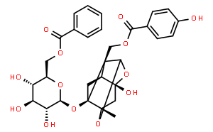 Benzoyloxypaeoniflorin