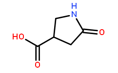 5-氧吡咯烷-3-羧酸