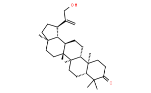 30-羥基羽扇-20(29)-烯-3-酮