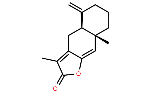 白术内酯I