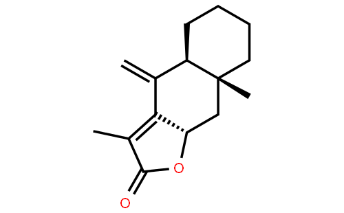 白术内酯II