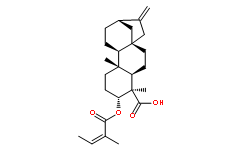 3ALPHA-当归酰基氧基-等效-贝壳杉-16-烯酸