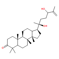75069-59-9  20，24-二羟基达玛-25-烯-3-酮