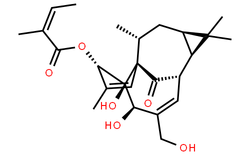 巨大戟醇-3-O-当归酸酯