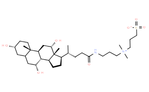 3-[3-(胆酰胺丙基)二甲基铵]-1-丙磺酸内盐