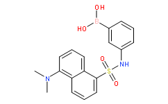 3-(Dansylamino)phenylboronic acid  [3-(5-Dimethylaminonaphthalene-1-sulfonylamino)benzeneboronic acid]